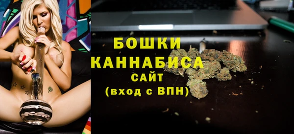 амф Арсеньев